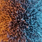 abstract-6873008_1280